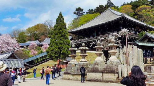 世界遺産控㉑続･奈良東大寺（奈良市）