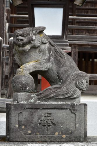 奥氷川神社の狛犬達