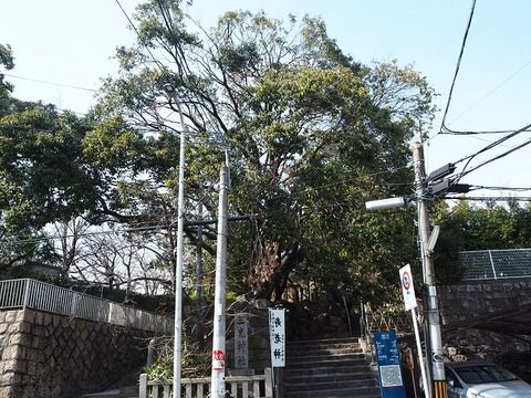 真田丸の跡地を歩く　「三光神社」の御朱印（大阪市天王寺区）