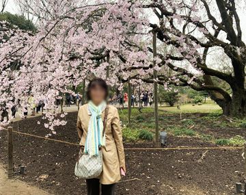2019年の桜：六義園 and 靖国神社 and 千鳥ヶ淵（3/26）