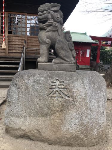 蓮沼氷川神社の狛犬達
