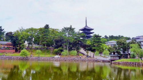 世界遺産控㉙興福寺（奈良市）