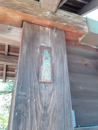 【緊急告知】長慶院(京都市)の藤の花の特別公開は本日まで