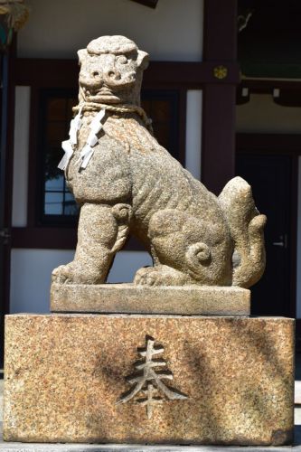 蓮根氷川神社の狛犬達