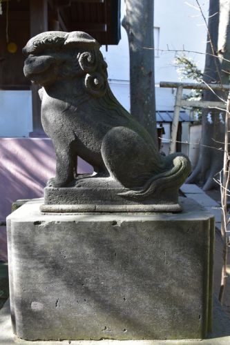 小岩神社の狛犬達