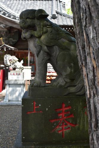 八剱八幡神社の狛犬達