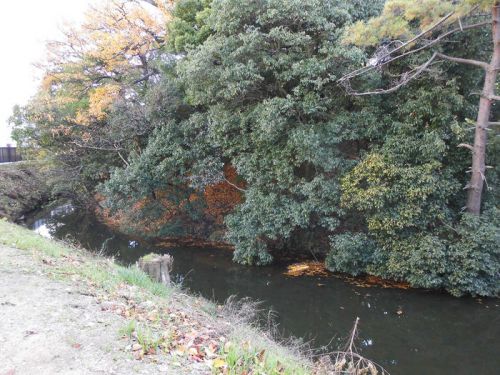 大安寺山古墳（仁徳天皇陵陪塚乙号） -堺市堺区大仙町-