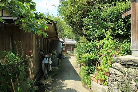大日寺 奈良県吉野郡  /  吉野を訪れたら是非お参りしたいお寺！藤原の美しい五智如来さま