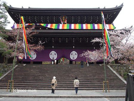 友と歩く 知恩院、御廟 　　　　　2019.04.14