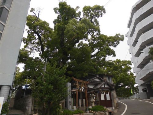 楠霊神社 -尼崎市武庫川町-