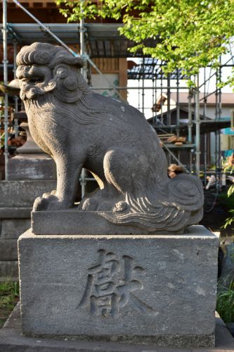 請西日枝神社の狛犬達