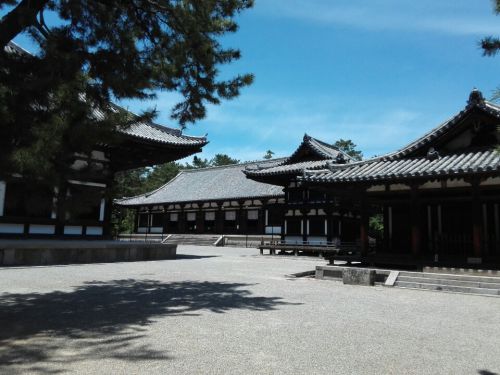 ５月22日　唐招提寺(奈良市)でいただいた御朱印