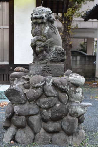 東葛西八雲神社の狛犬達