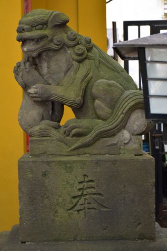 秋葉神社の狛犬達