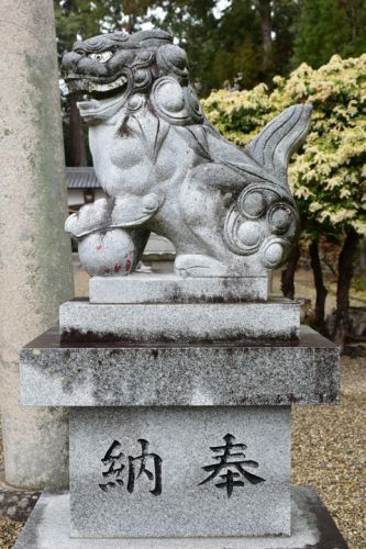 山上八幡神社の狛犬達
