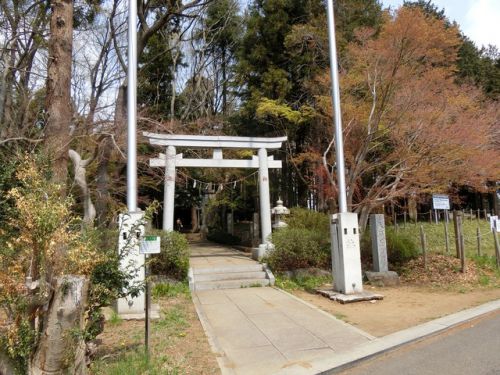 2019/4/7(土) 天形星神社 千葉県