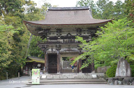 三井寺　金堂、閼伽井屋