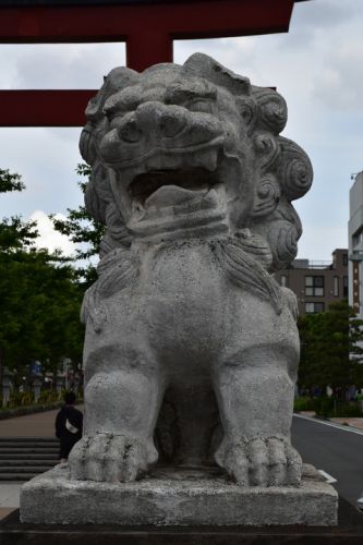 鶴岡八幡宮の狛犬達