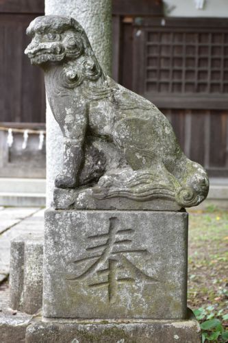 白旗神社の狛犬達