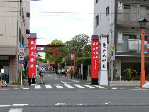 2019/5/7(火) 亀戸天神社 東京都