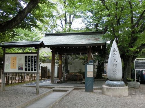 2019/5/7(火) 亀戸香取神社 東京都