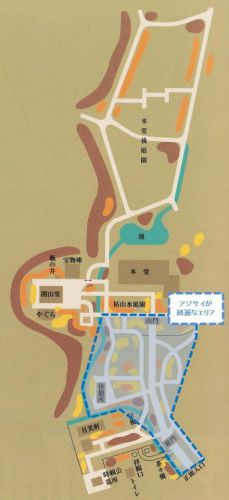 北鎌倉・明月院のアジサイ（２０１９年）◆境内花巡り（１）◆明月院ブルー