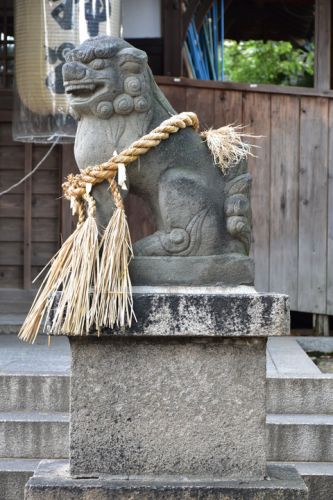 高瀬神社の狛犬達