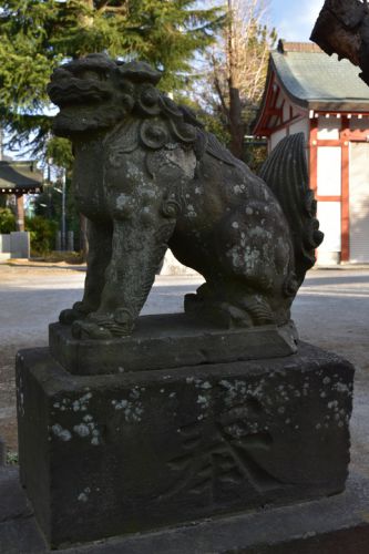 八剱神社の狛犬達