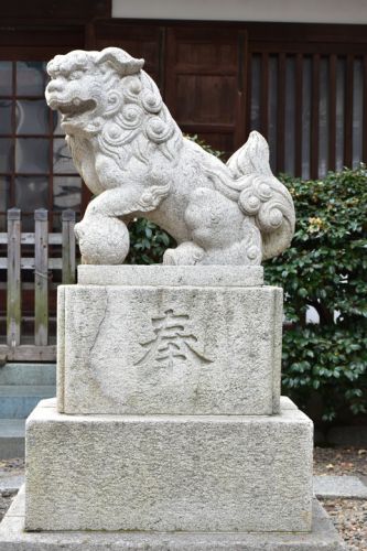 小石川諏訪神社の狛犬達