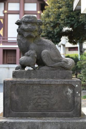 奥戸天祖神社の狛犬達