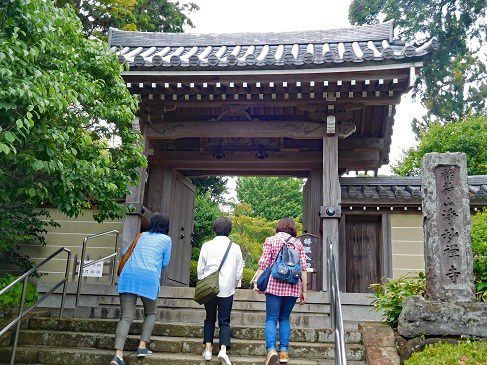 鎌倉・浄妙寺のアジサイ（２０１９年）◆境内花巡り◆石窯ガーデンテラス