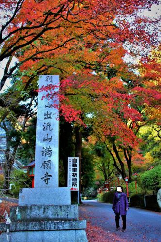 新ブログ投稿｢太平山神社と出流山満願寺の紅葉｣