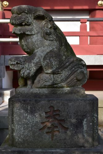 中原八幡神社の狛犬達