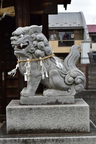 白山神社の狛犬達