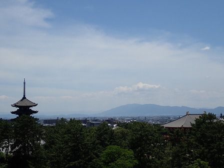 奈良県県庁屋上から見た東大寺や興福寺、奈良の町