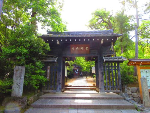 【京都】青もみじと苔の緑に癒される「常寂光寺」の御朱印