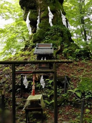 熊野皇大神社 しなの木神社 飛び出す御朱印