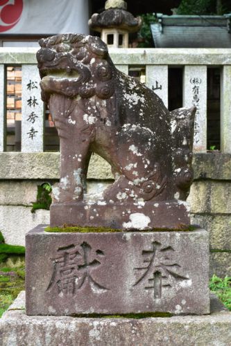 湯泉神社の狛犬達
