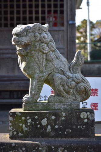 小岩田天祖神社の狛犬達