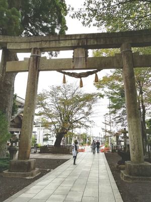 東口本宮冨士浅間神社（静岡県小山町）