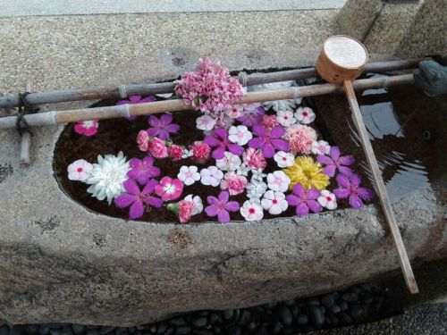 10月17日　水堂須佐男神社(尼崎市)でいただいた御朱印帳袋と御朱印情報