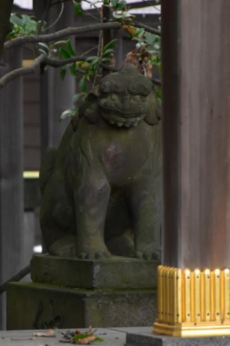 八幡大神社の狛犬達