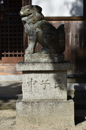 素戔嗚神社の狛犬達