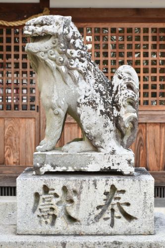 八幡神社（川西町）の狛犬達