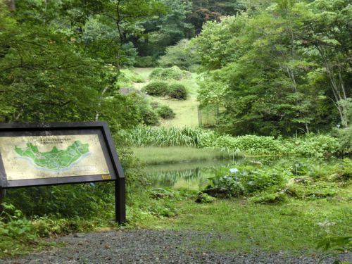 2019/8/11(日) 日光植物園東京大学大学院 理学系研究科附属植物園 栃木県