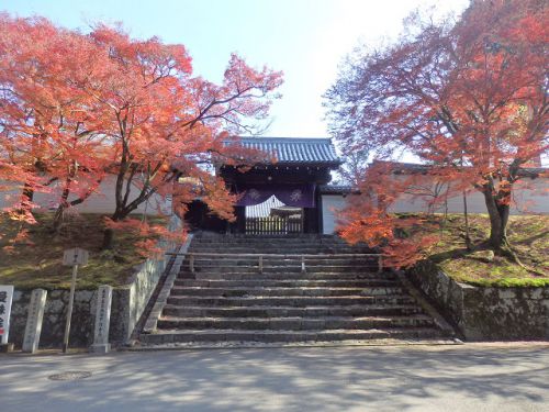 京都・曼殊院と比叡山の紅葉