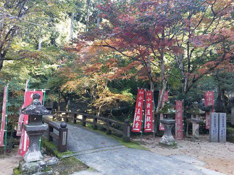 小新屋観音の御朱印　　[丹波もみじめぐり]