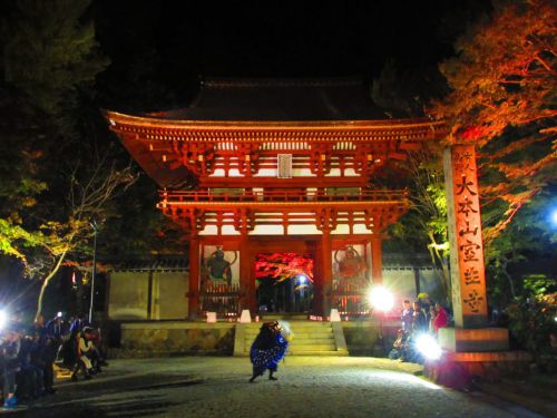 【奈良】五重塔に青龍が昇る！紅葉ライトアップが幻想的な「室生寺」の御朱印