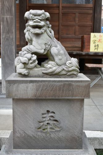 西新井氷川神社の狛犬達