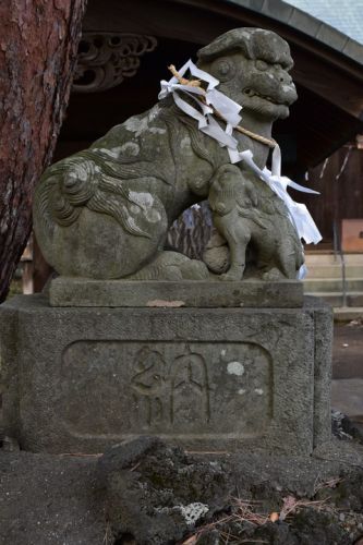 久米川熊野神社の狛犬達